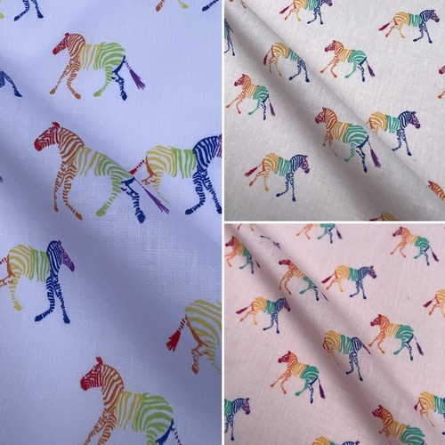 Rainbow zebra design - rainbow,